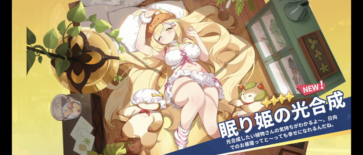 スタッフ tweet media