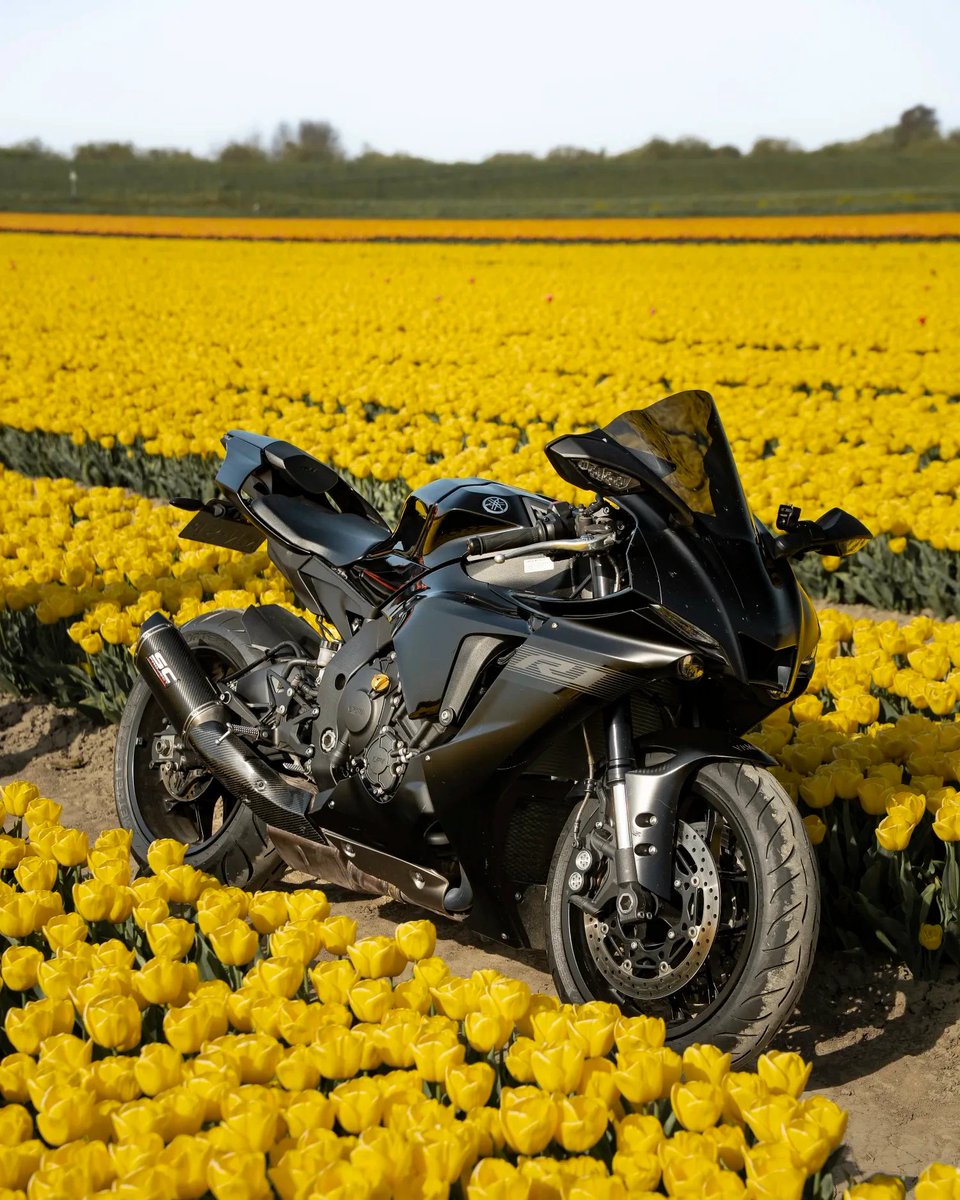 MoreMotorcycles's tweet image. #Yamaha R1
#BikerGirl 

📷
threads.com/@ana_bikergirl