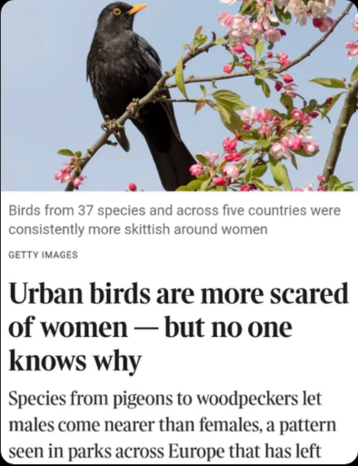 Nobody special tweet media