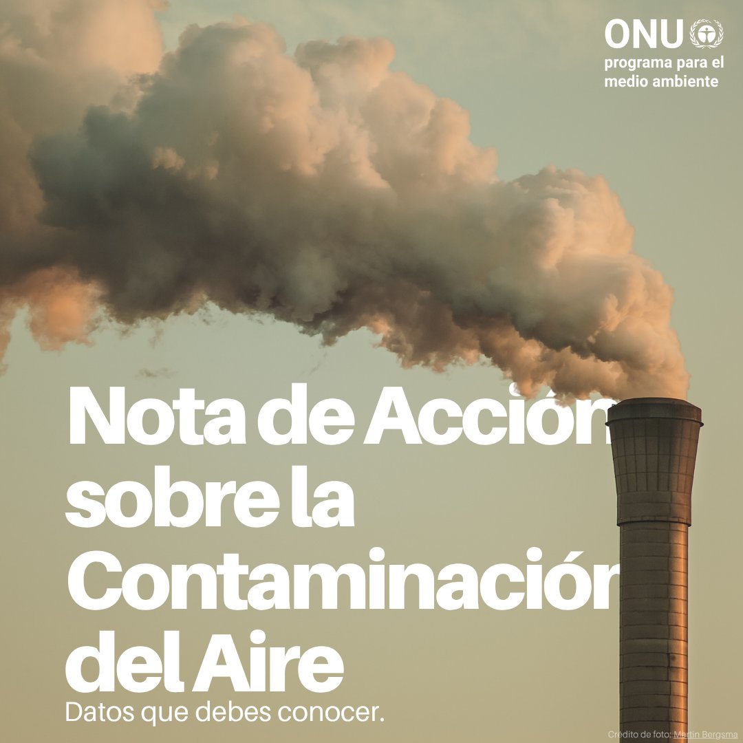 Programa ONU Medio Ambiente tweet media