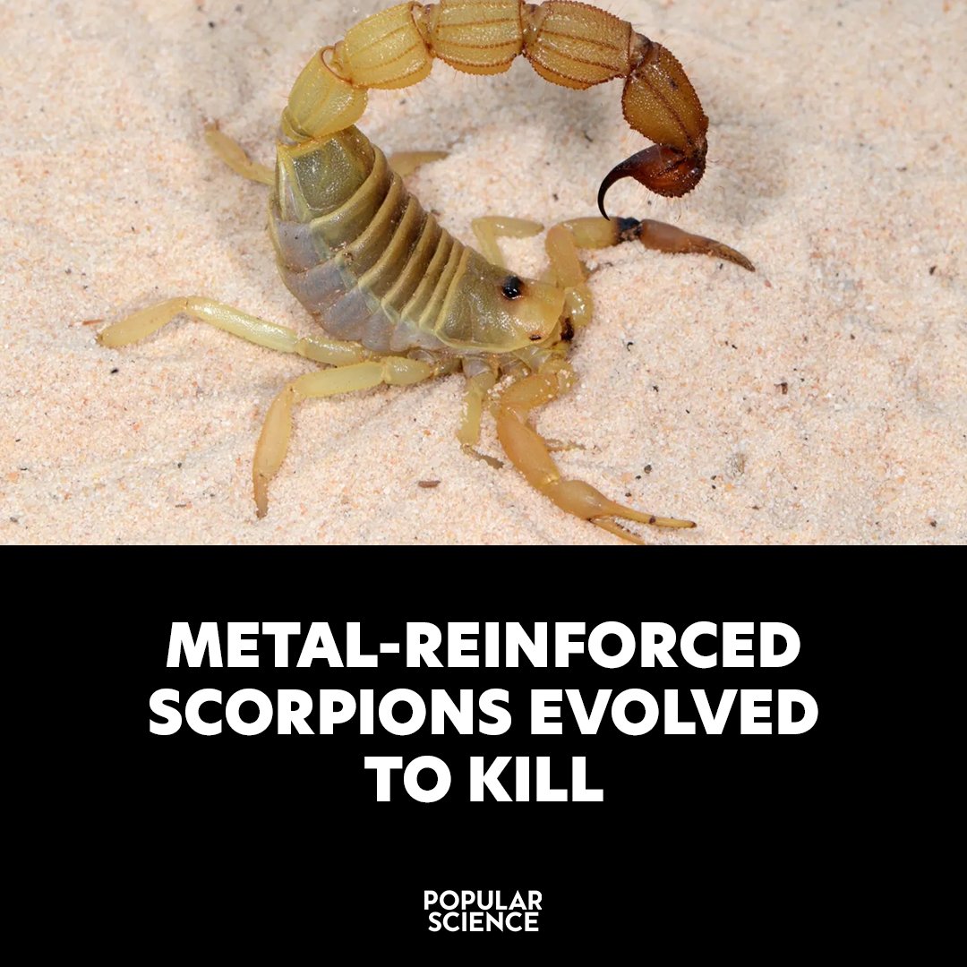 Popular Science tweet media