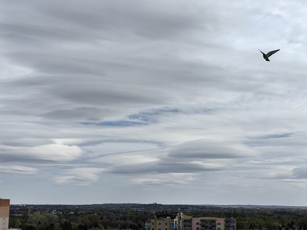 pawelekg's tweet image. Ciekawe chmurki i ptaszek w locie. :) Interesting clouds formations early afternoon today Thursday and a flying bird with open wings. My photos today in Łódź city. Enjoy my pictures! #photography #cityscape #cloudsphotography #SkyPhotography #naturephotography 📷☁🏙🦅😊🧡💙💚