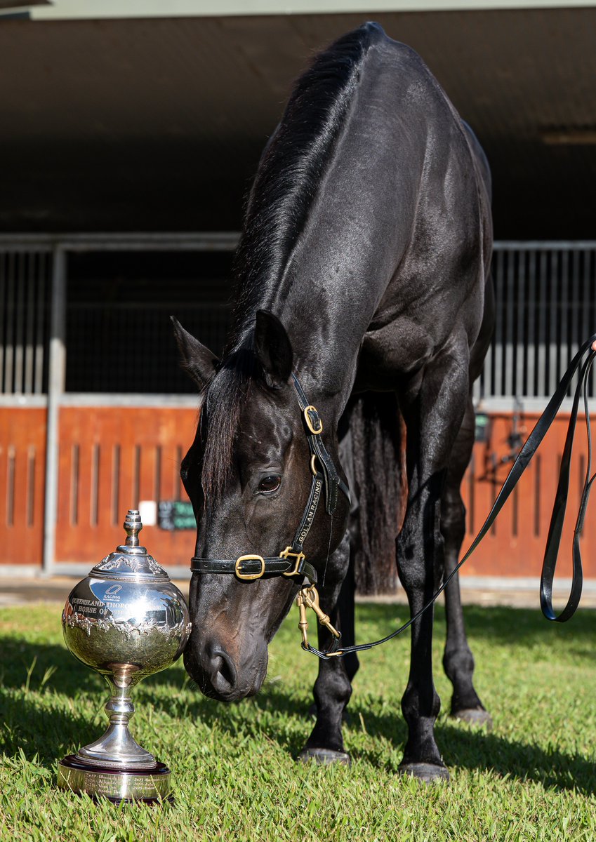 Gollan Racing tweet media