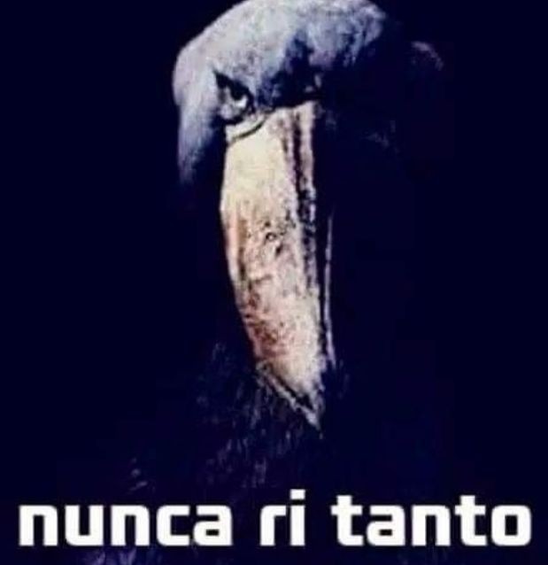 morango_33's tweet photo. @engulobostaa https://t.co/5V9RI5oasa