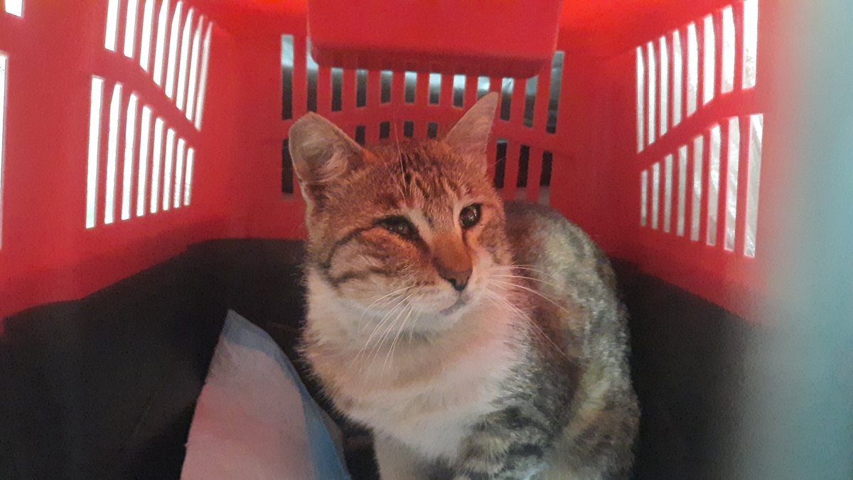 جای خواب ایو tweet media