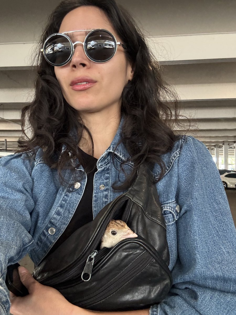 suze tweet media