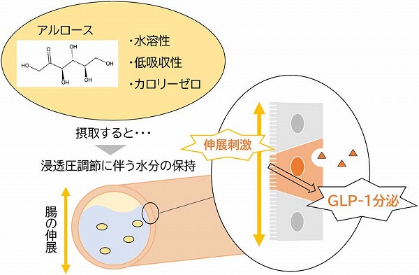 日本農芸化学会「化学と生物」オンライン tweet media