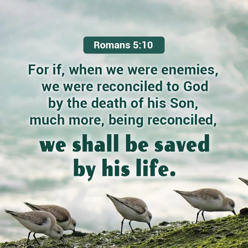 Oyewolesam28's tweet image. INSPIRATIONAL 

If someone is actively working against you, it is difficult to accomplish anything that you want to. 

Credit to:
#kjvbible #God #walking #WalkingWithGod #develop #relationships #MercifulGod #merciful #highlight #followformore #HappyNewMonth #MonthofMay