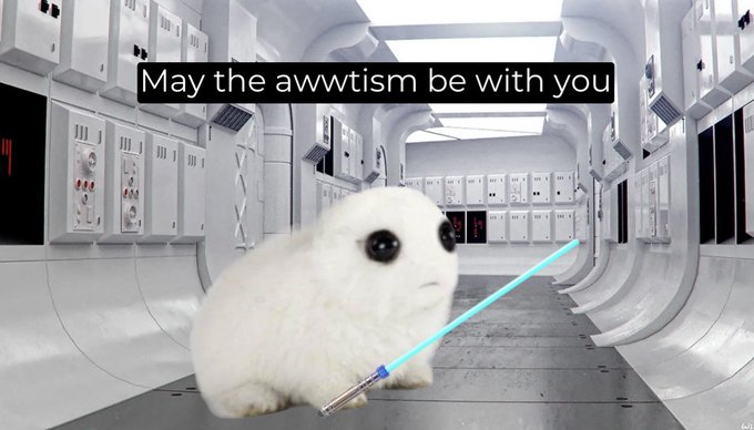 Photorealistic Autism Creature tweet media