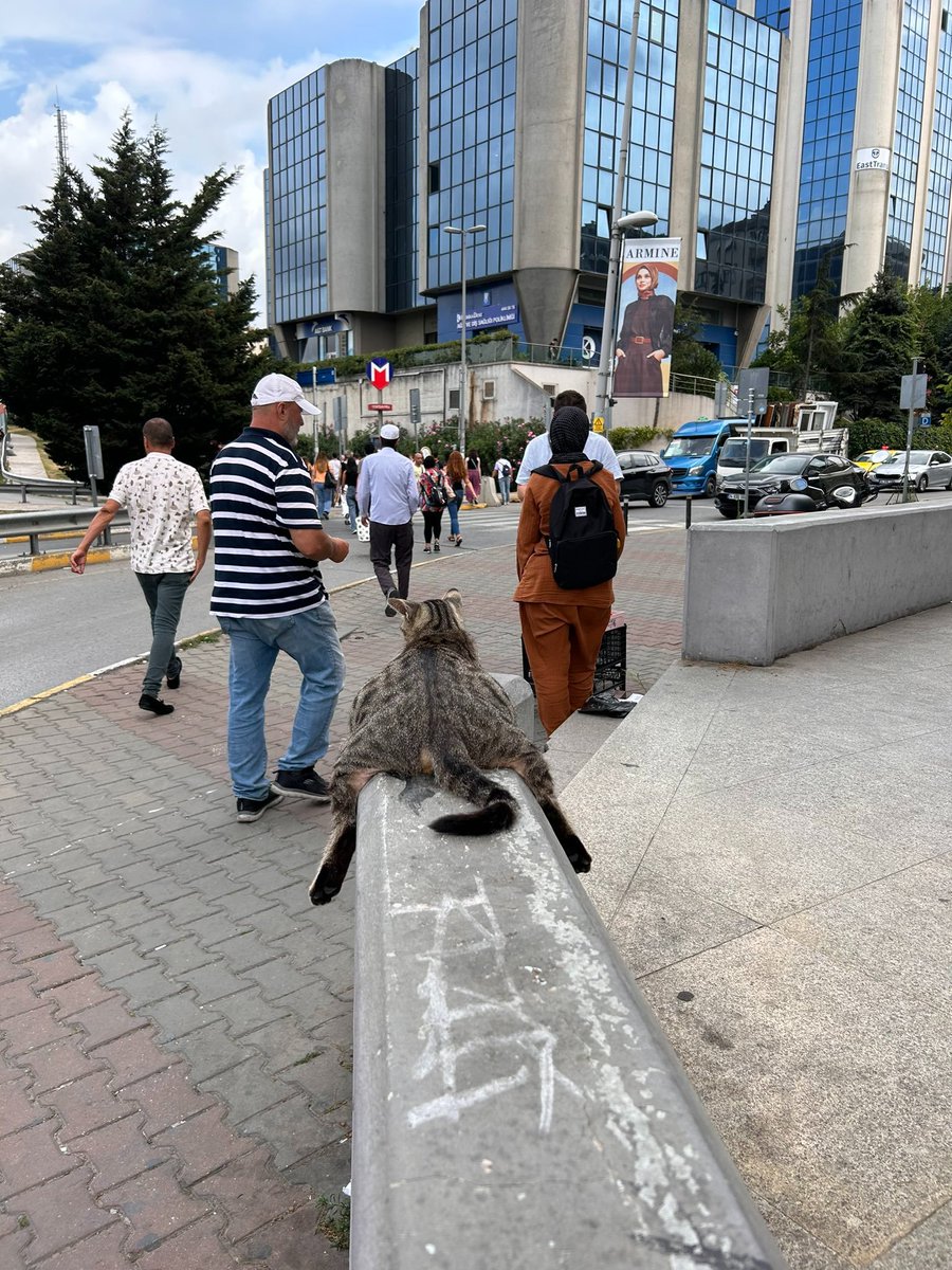 Eu mais tarde desse jeito na praça dos leões depois da facada.