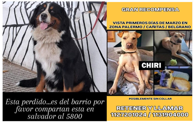 <a href="/AnimalesBA/">Animales BA</a> 
Si encuentran al perro , avisen y así modificó la imagen