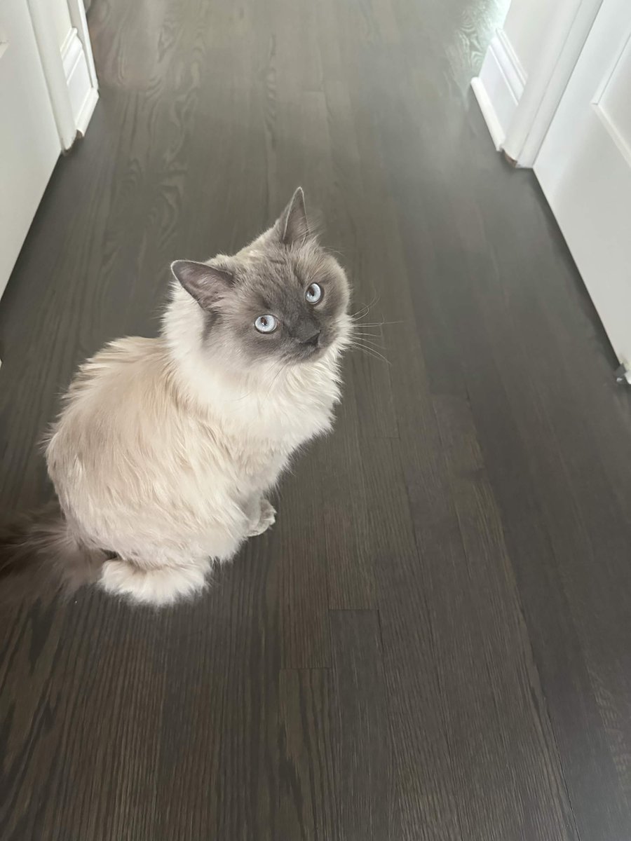 my precious son