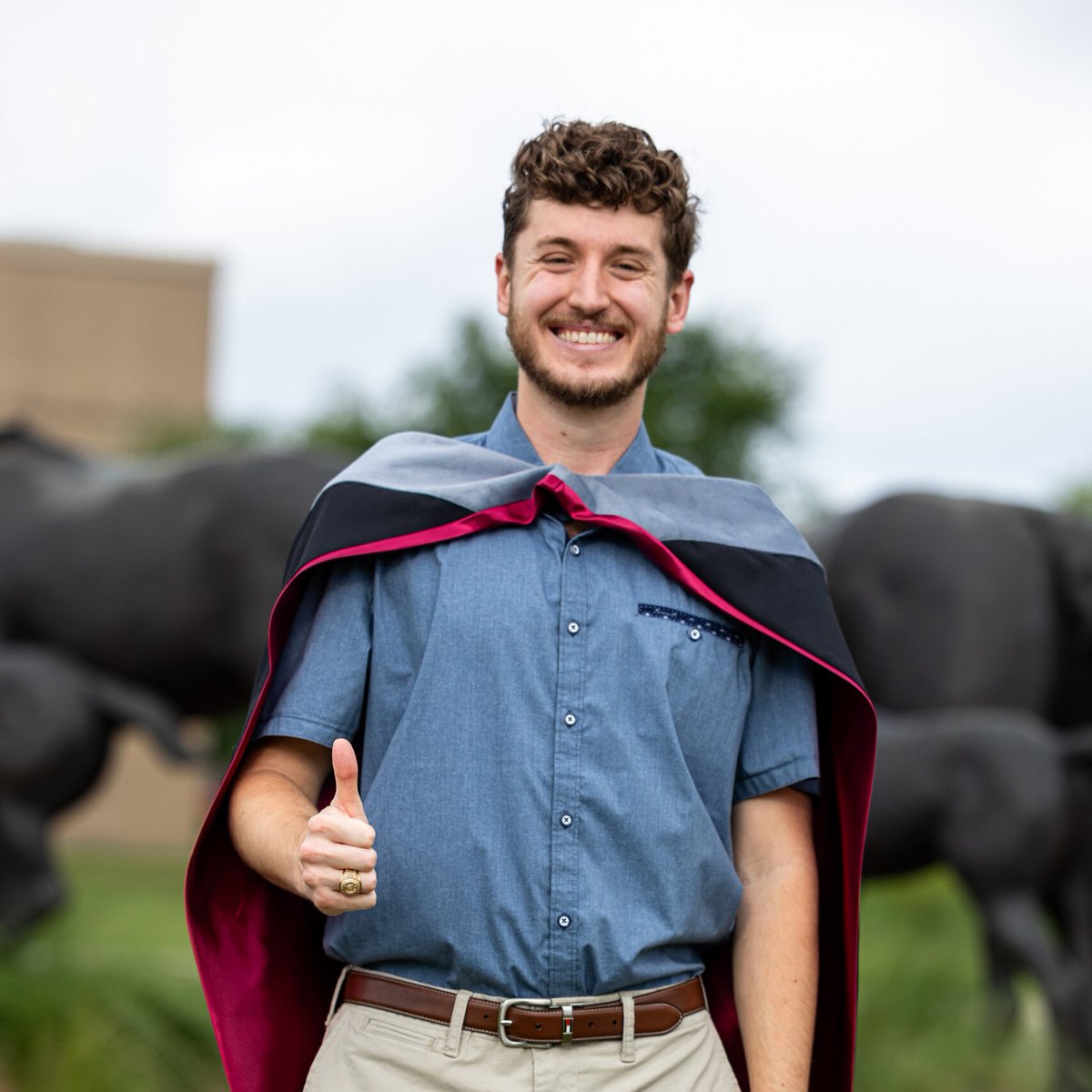Texas A&M VetMed tweet media