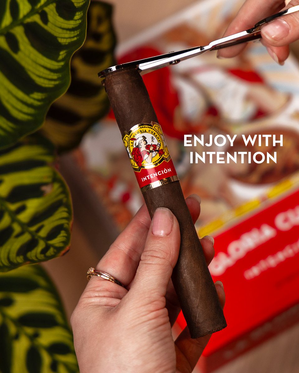 LaGloriaCubana's tweet photo. Every detail matters. Intencion is crafted with purpose–in every draw from its classic four country blend.
#LaGloriaCubana #Cigars #Intencion #LiveWithIntention #CigarLifestyle https://t.co/l7BgjiVnJ6