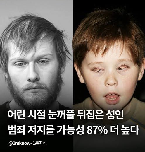 집밥채채🏠 tweet media