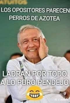 Jorge Fernando Martinez tweet media