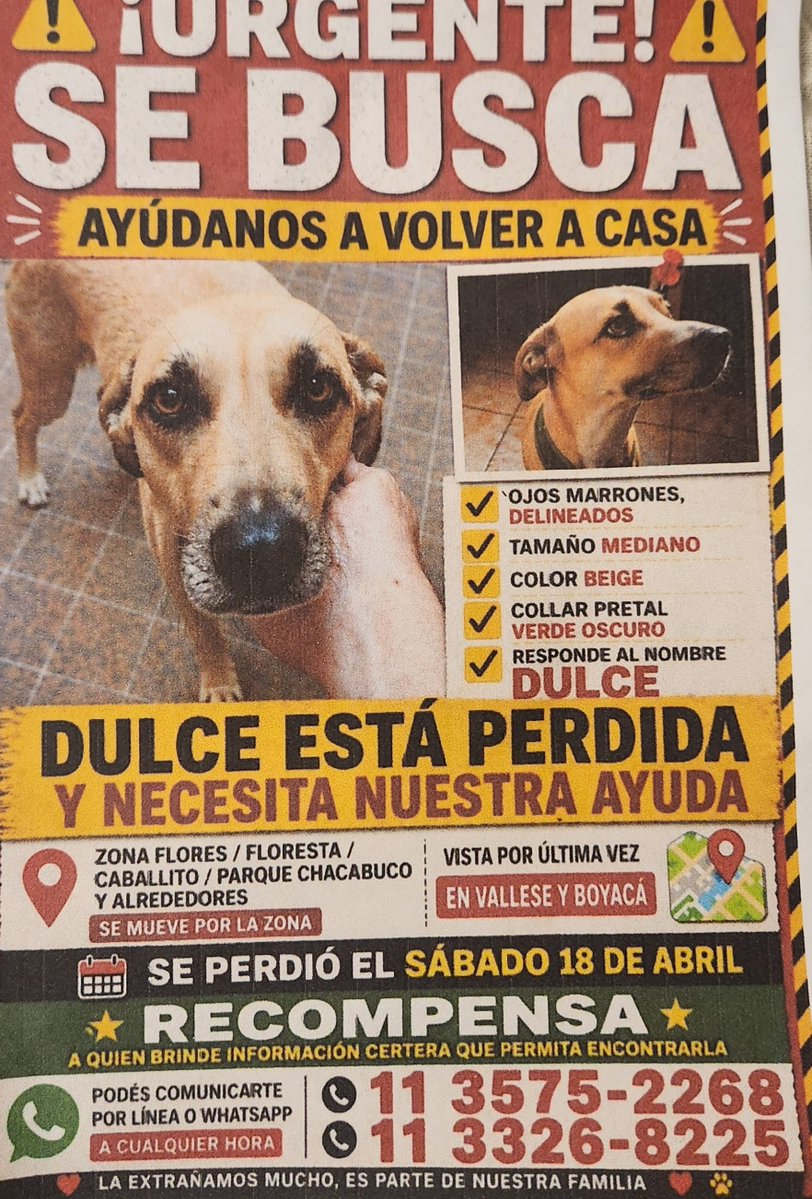 Adriana Verón 🐾 tweet media