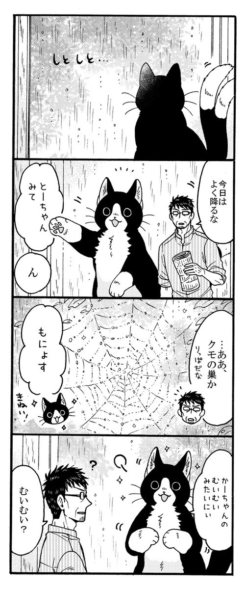 清水アイ 🐱『ねこまたとあさごはん』第4巻発売中🐾 tweet media