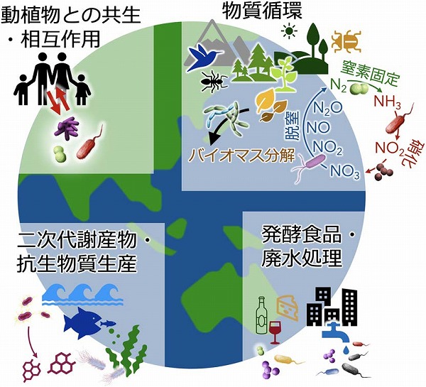 日本農芸化学会「化学と生物」オンライン tweet media