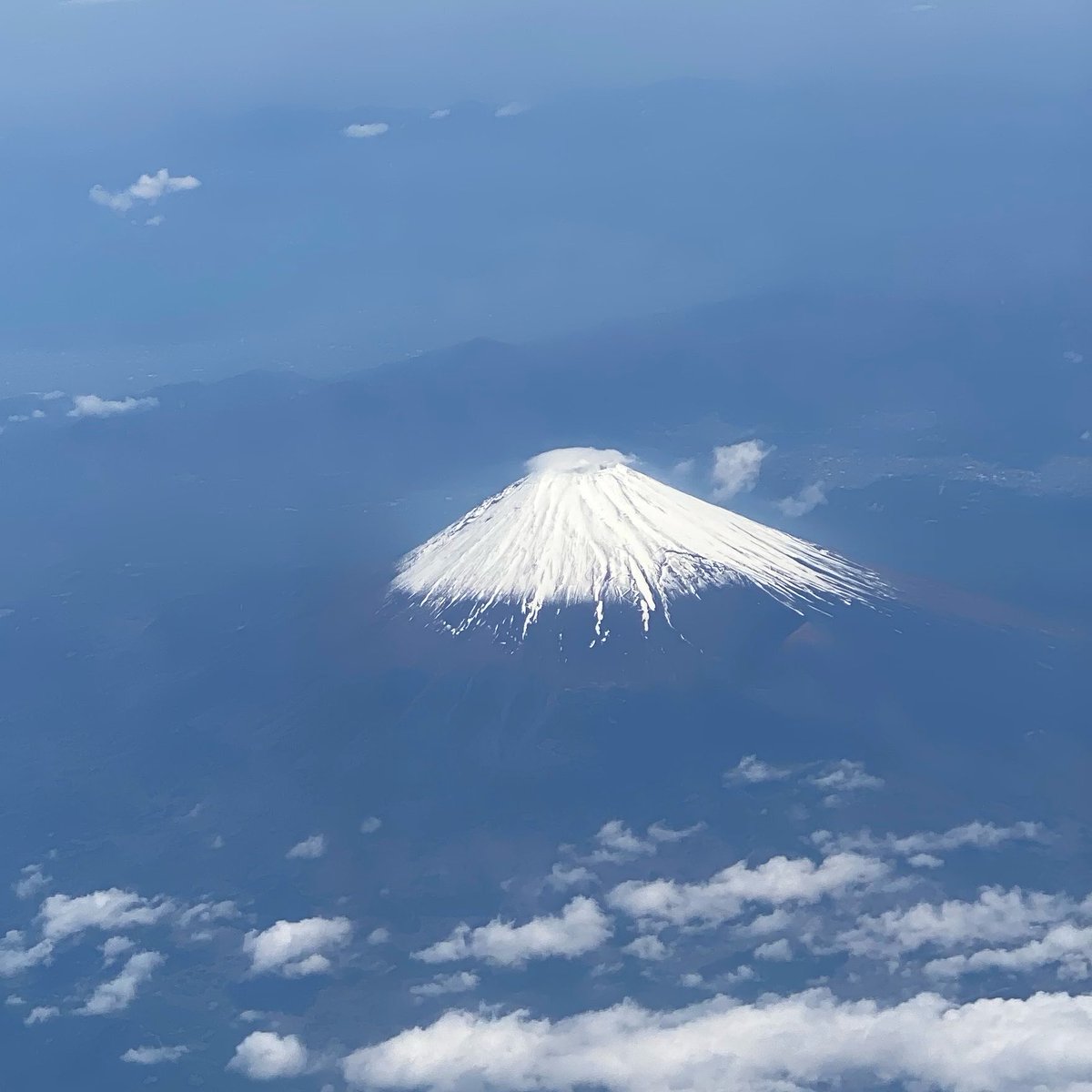 狸山ポン吉 tweet media