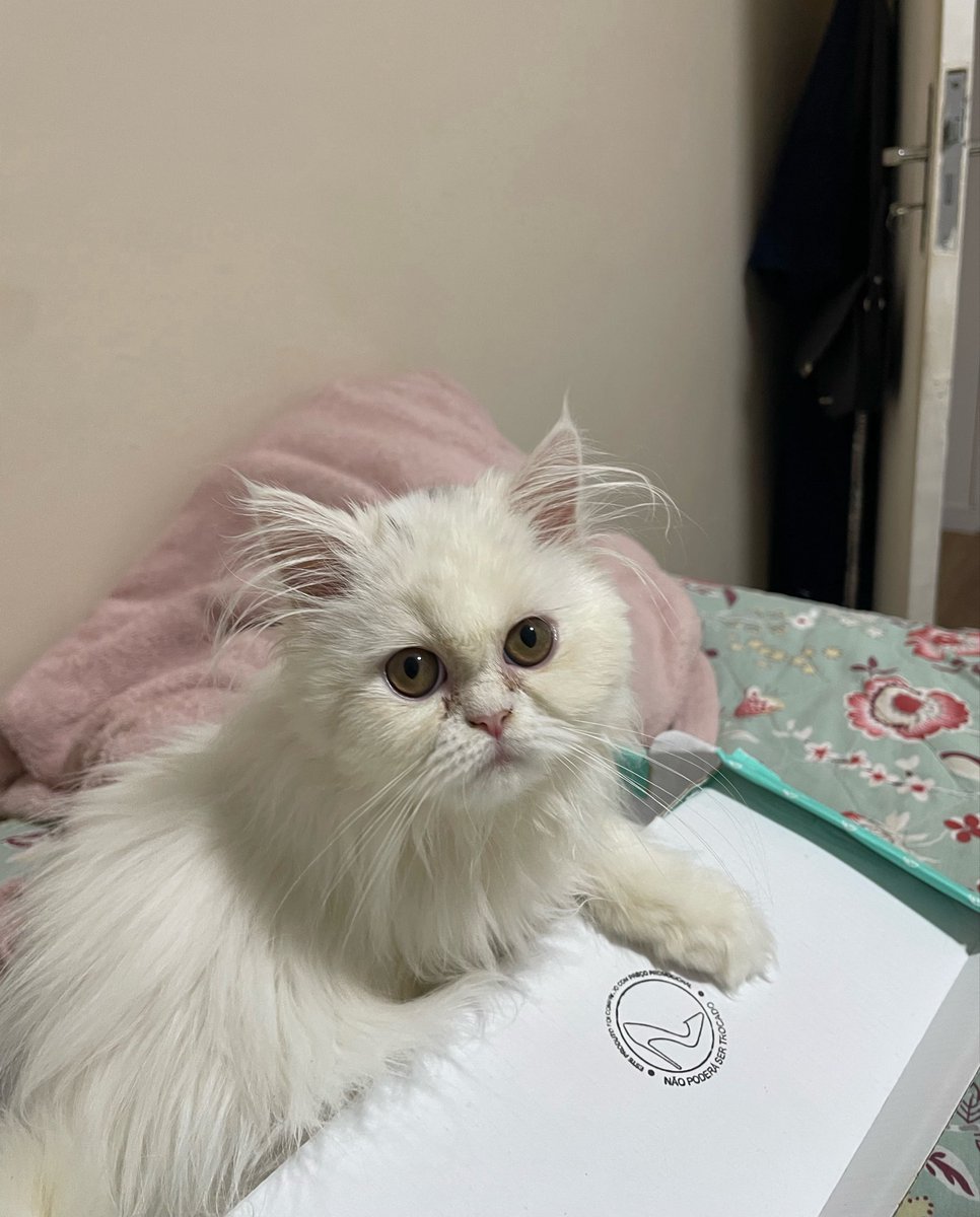 gabbie៹ tweet media