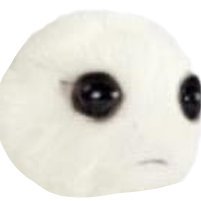 Photorealistic Autism Creature tweet media