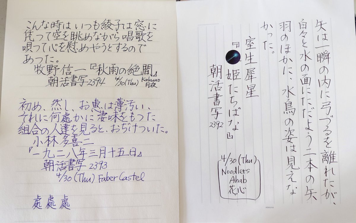ShikiMucha's tweet photo. お題をありがとうございます❗
#朝活書写
たまには横書きの練習を。

見慣れてしまったハイビスカスの花やココナツの木ですが、きれいに咲いてい��花を見るとやっぱり写真を撮りたくなります。 https://t.co/9Vf8VNAsAb