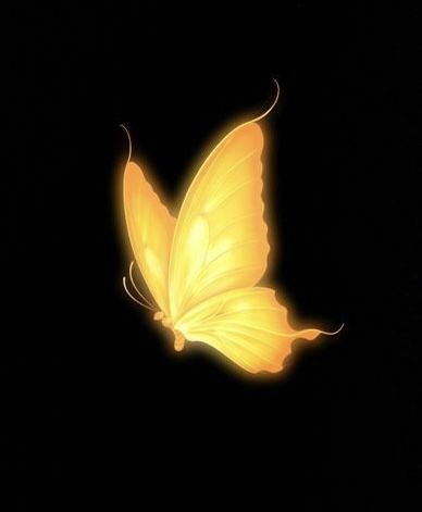 𝐃𝐀𝐓𝐀 ᴷᴬᴿᴬ⎯⎯ ᴳᴼᴸᴰᴱᴺ ☆ tweet media