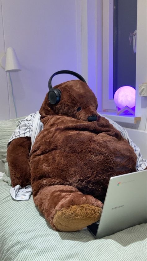 Eggroll 🐻‍❄️ tweet media