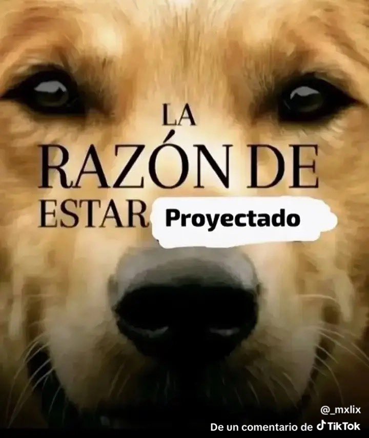 te amo <a href="/yoAlvaroDiaz/">ALVARO DIAZ</a>  nunca decepcionas, malas noticias esta muy buena voy a proceder a proyectarme