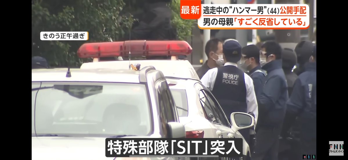 有也 tweet media