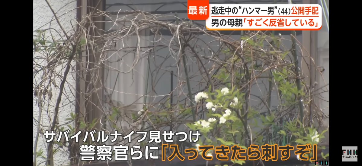 有也 tweet media