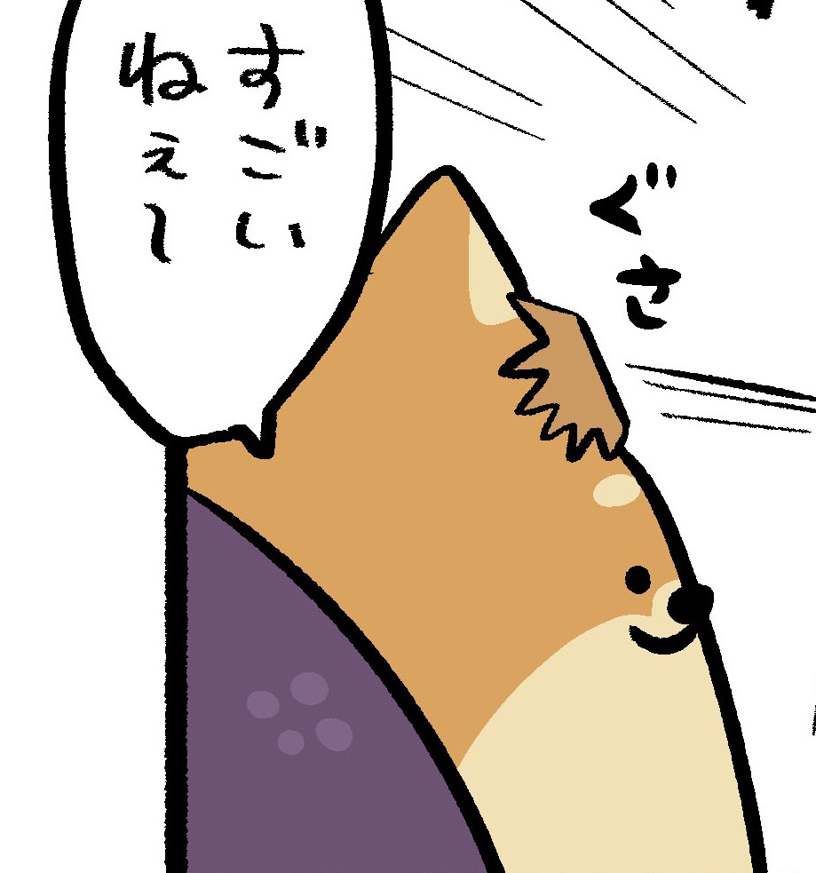 しばもどき tweet media