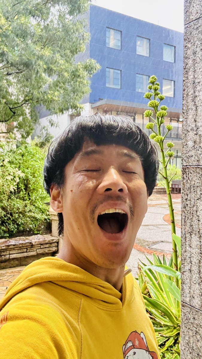 ずーいち.Zooich🍄 tweet media