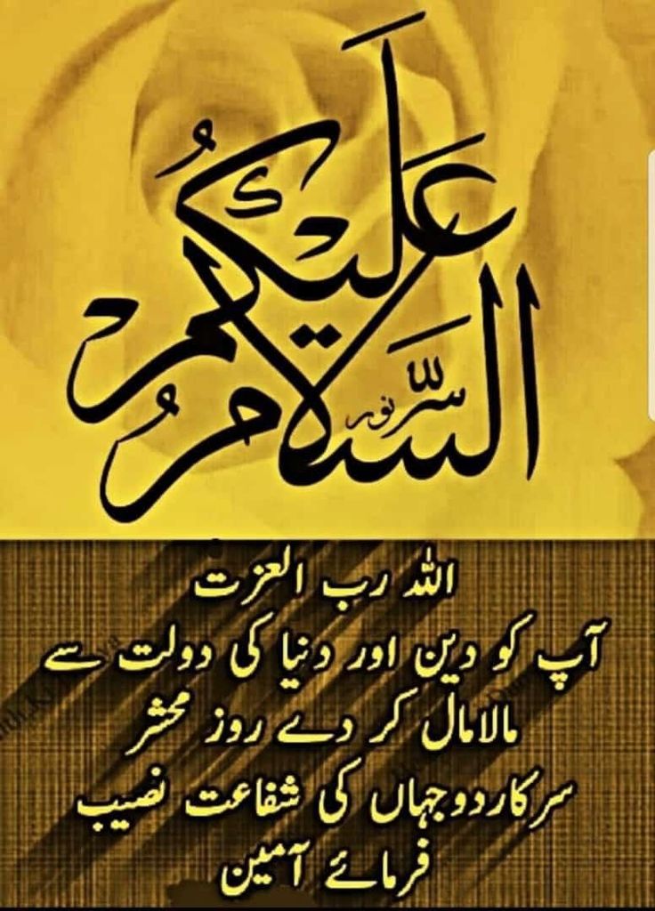 کنیز سمرا🇵🇰 tweet media