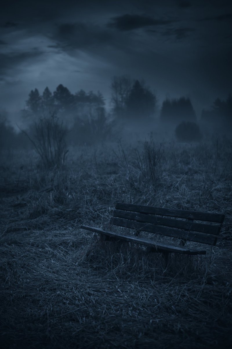 LokiHighlock's tweet photo. a foggy morning sit https://t.co/bJHRHImnNm