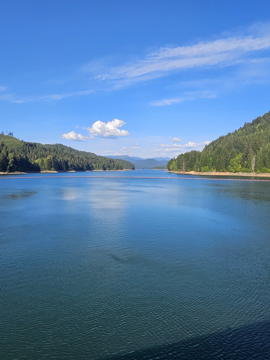 hamn_matt55472's tweet image. Despite all the crazy leftist that have invaded our state the last 30 years, this is why we stay and fight. #Oregon #Home