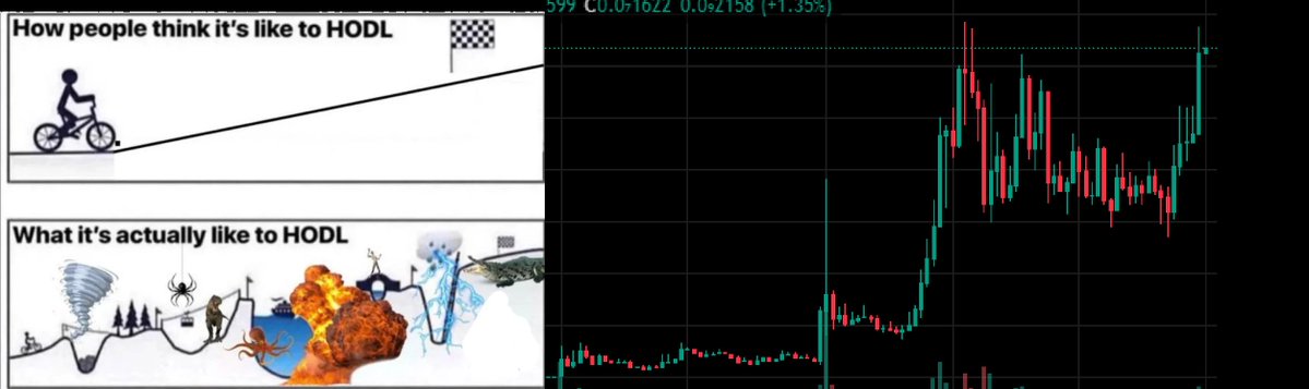 ENSDomain8888's tweet image. Hey, #diamond hands!

#HODL!
#HODL!
#HODL!

#gitlawb @openclaude #openclaude @gitlawb