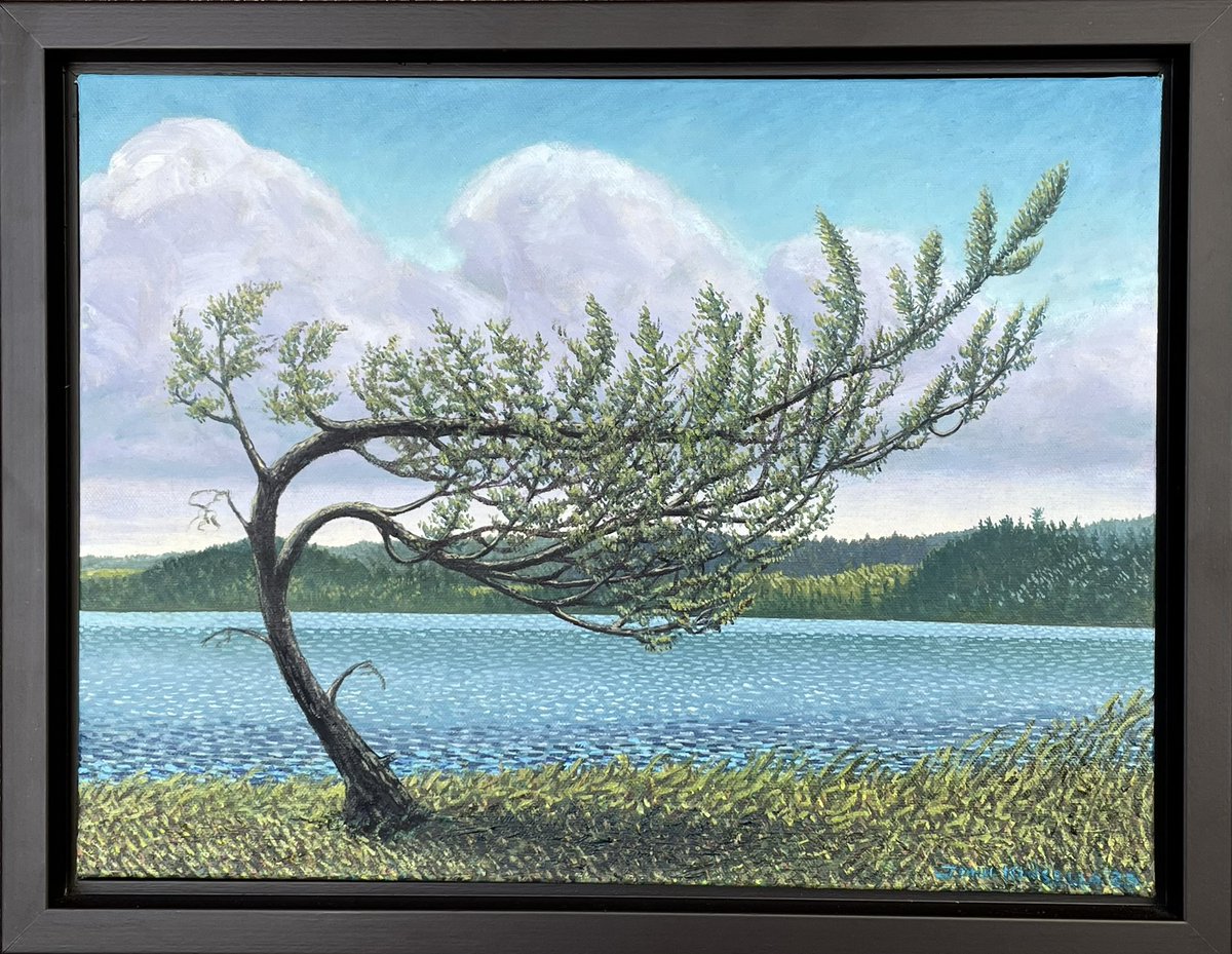 johnkinsella52's tweet photo. Windblown Cedar 2023-24
Oil on canvas 
12 x 16 inches 
On view @EclipseArt 
#art #artlovers #painting #oilpanting 
@Anishinabe_Life @kimahesse @JoaniesRadio @peac4love @Muskoka411 @AndreWisniewsk2 @Canada_Painting https://t.co/im8JEzan21