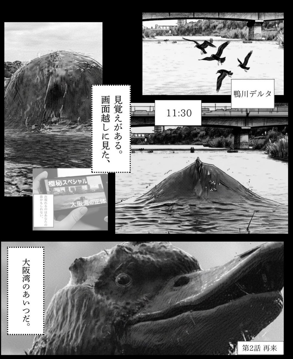 kamocinema's tweet photo. 京都、終わったかもしれん。
鴨川怪獣漫画「DELDUCK」
続きはインスタグラムにて配信中！

#鴨川＃怪獣＃京都＃漫画 https://t.co/4g84sA9RuA