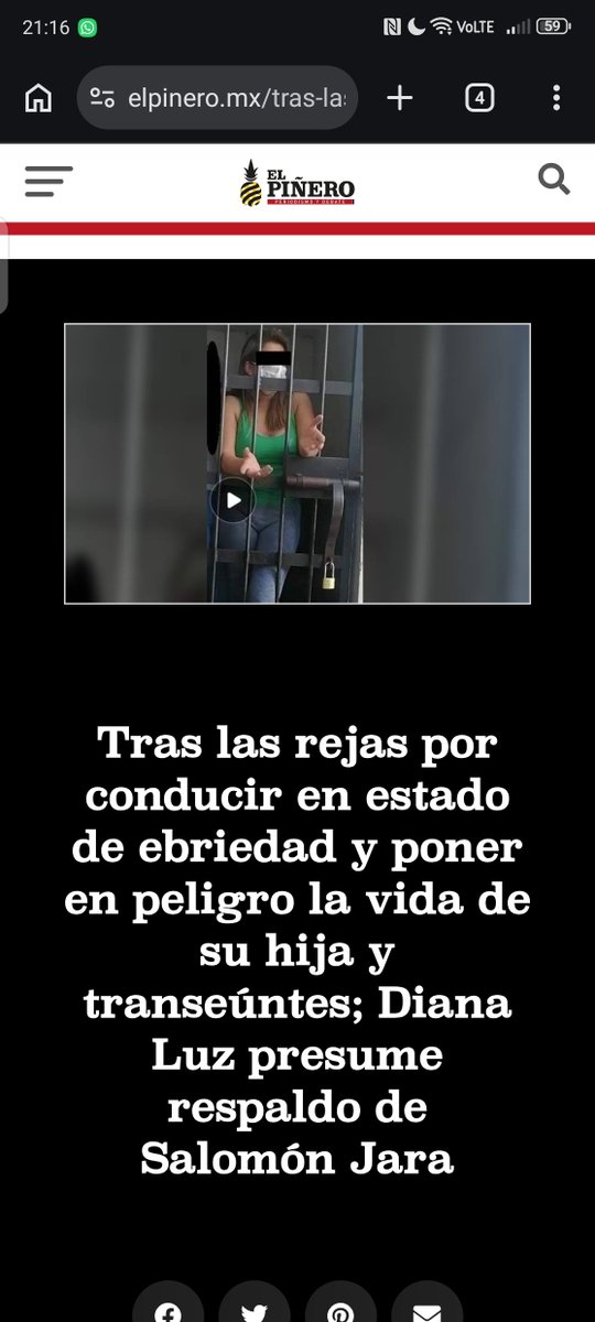 Alex Flores tweet media