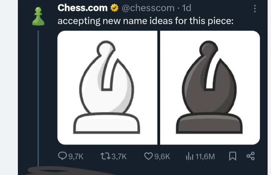 dissedant amerimutt tweet media
