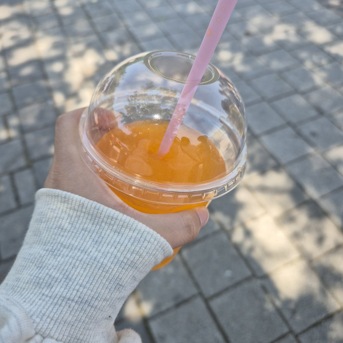 페르소 tweet media