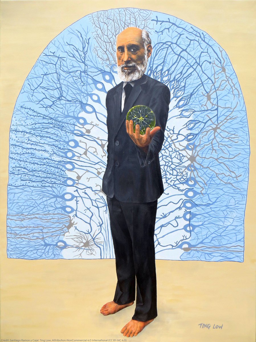 NobelPrize's tweet image. Did you know that Santiago Ramón y Cajal wanted to be an artist as a boy but his father wanted him to study medicine? He put his artistic skills to good use in the detailed and beautiful pictures of the nervous systems he studied.

Learn more: bit.ly/2IpBW7D