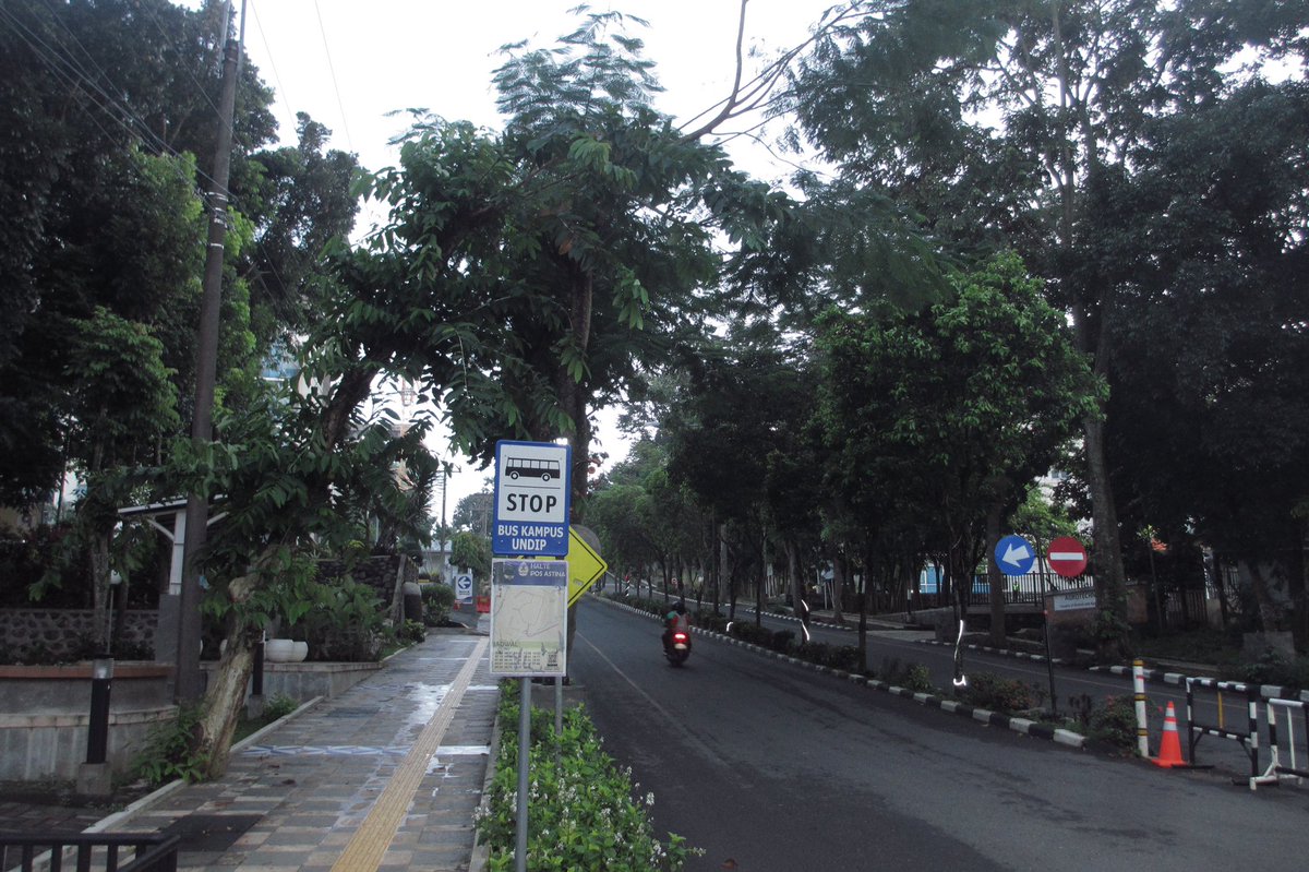 thevariatione's tweet photo. undip thru my digicam edisi jalan-jalan pagi keliling undip 🤙 https://t.co/RupqBAb7ap