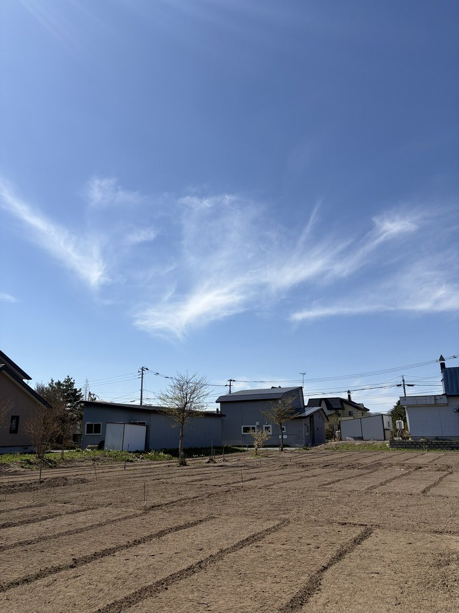 Nobnob19_ginmo's tweet photo. 良い天気！
今年も家庭菜園始めるべ😆 https://t.co/QGvhXFD4M4