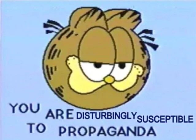 🗿 tweet media