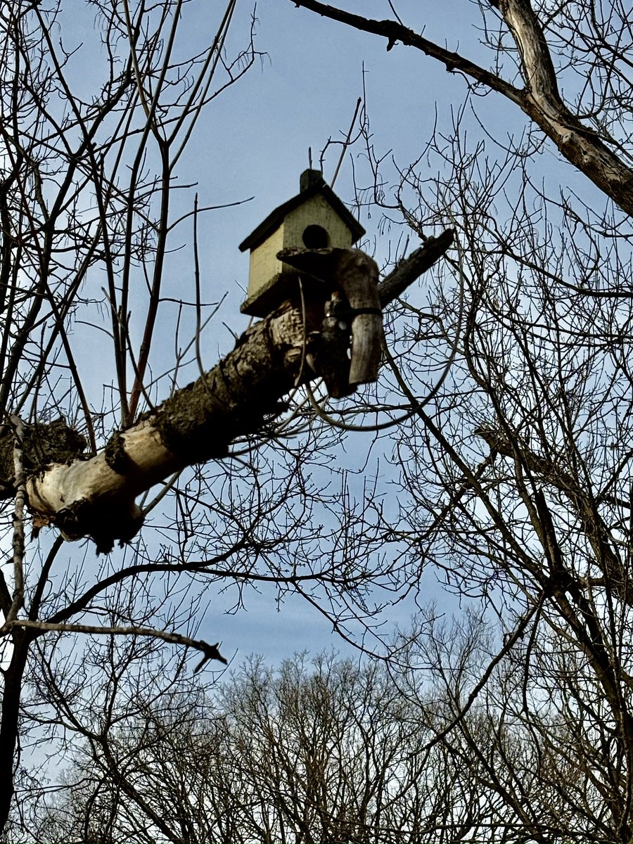 kats_clicks's tweet image. Location. Location. Location. 
Isn’t that what they say when looking for a new abode?
I would say the owner of this tiny hot spot has nailed it!

#thursdayvibes #hotspots #Location