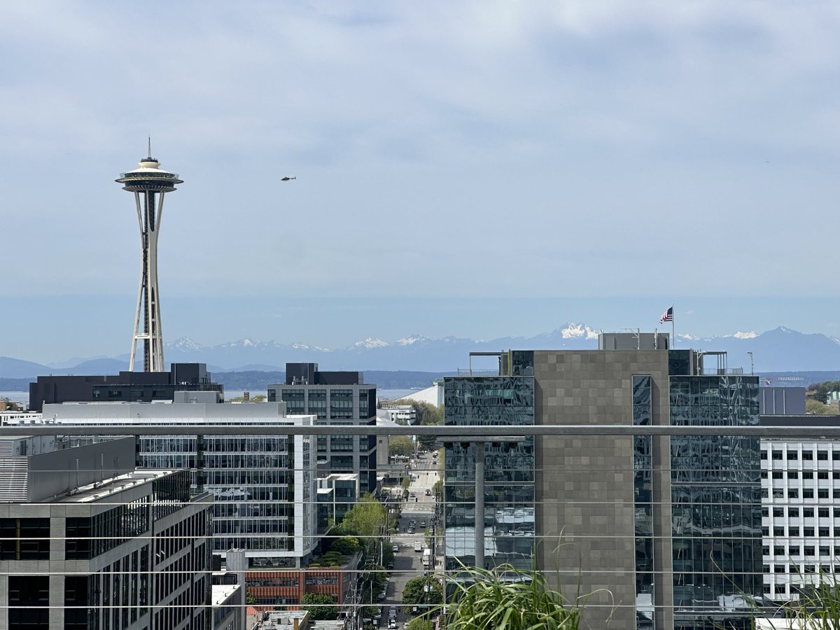 bw_elsa's tweet photo. Beautiful day for lunch on the roof https://t.co/uXwCwQ8dsd