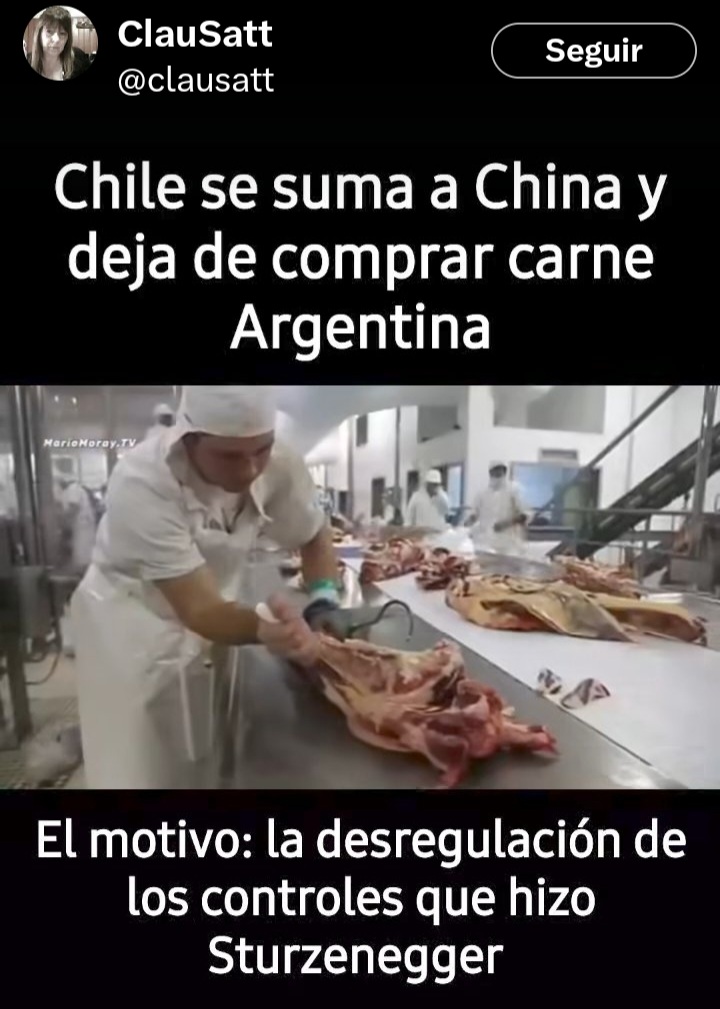 Discapacitados del Sur tweet media